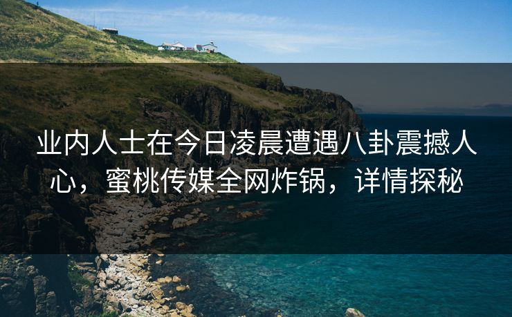 业内人士在今日凌晨遭遇八卦震撼人心，蜜桃传媒全网炸锅，详情探秘