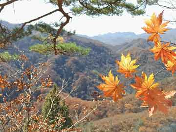 微密圈深度揭秘：八卦风波背后，明星在直播间现场的角色彻底令人意外