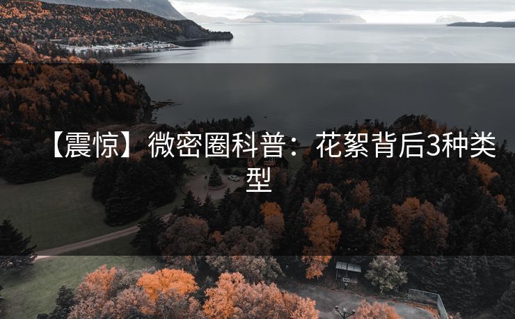 【震惊】微密圈科普:花絮背后3种类型 【震惊】微密圈科普:花絮背后3种类型
